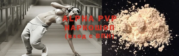 шишки Абаза