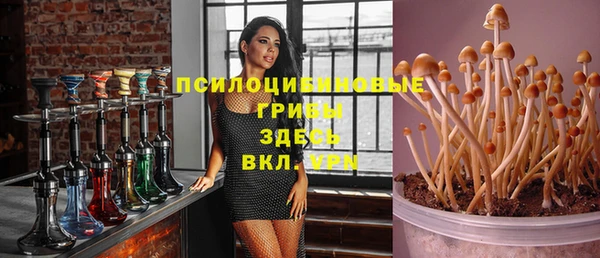 МДПВ Красноперекопск