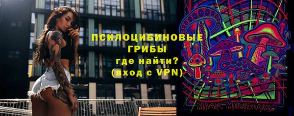 эйфоретик Абинск