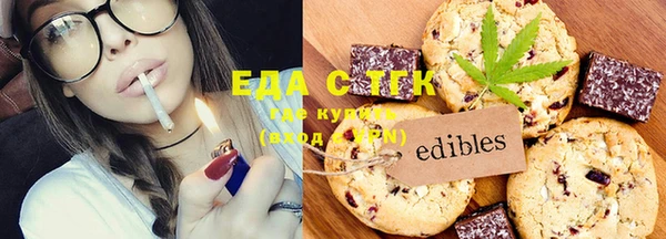 шишки Абаза
