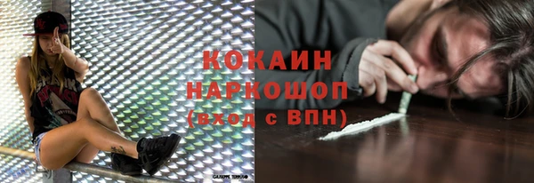 шишки Абаза